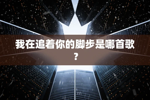 我在追着你的脚步是哪首歌？