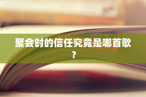 聚会时的信任究竟是哪首歌？
