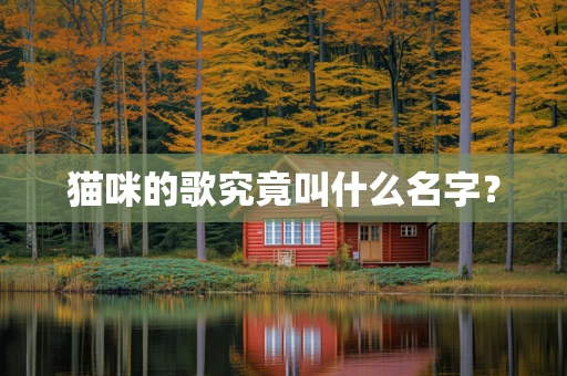 猫咪的歌究竟叫什么名字？