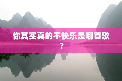 你其实真的不快乐是哪首歌？