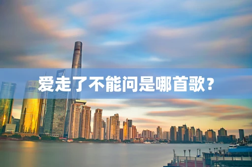 爱走了不能问是哪首歌？