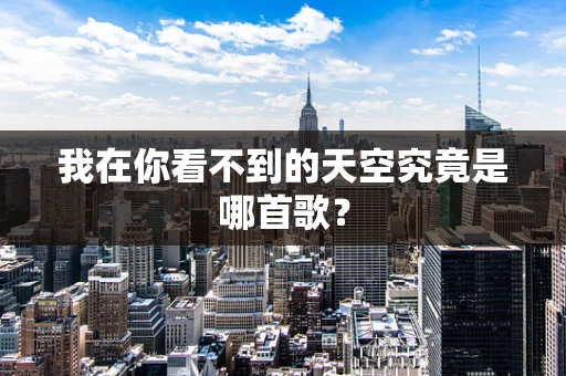 我在你看不到的天空究竟是哪首歌？