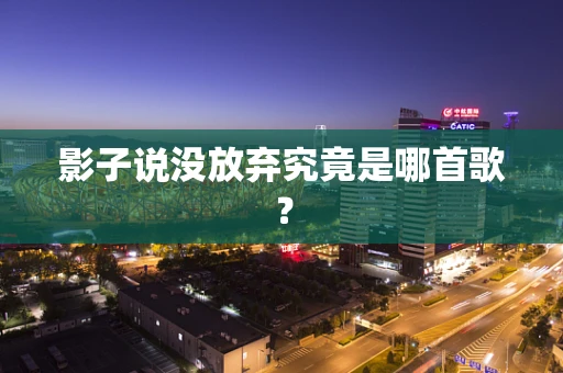 影子说没放弃究竟是哪首歌？