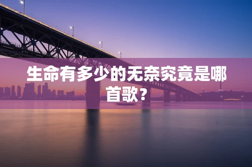 生命有多少的无奈究竟是哪首歌？