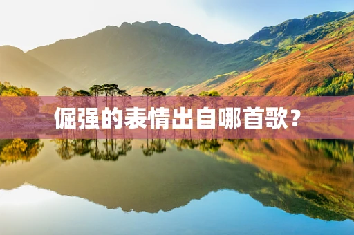 倔强的表情出自哪首歌？