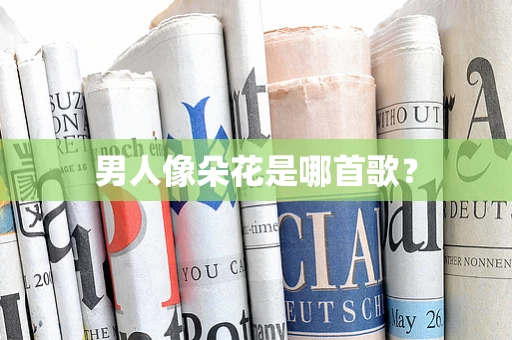 男人像朵花是哪首歌？