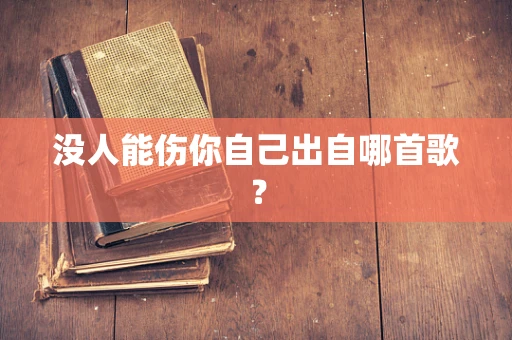 没人能伤你自己出自哪首歌？