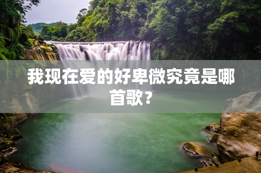 我现在爱的好卑微究竟是哪首歌？