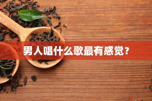 男人唱什么歌最有感觉？
