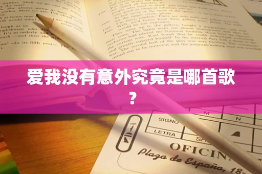 爱我没有意外究竟是哪首歌？