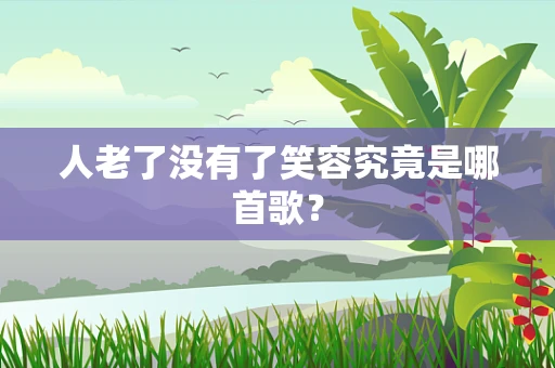 人老了没有了笑容究竟是哪首歌？