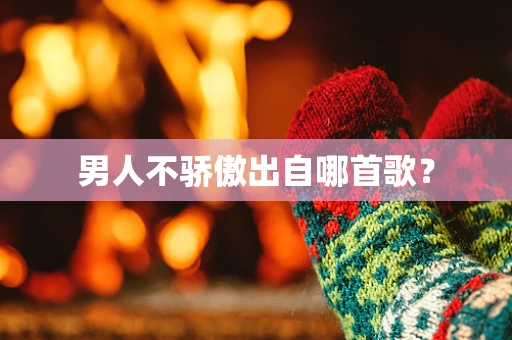 男人不骄傲出自哪首歌？