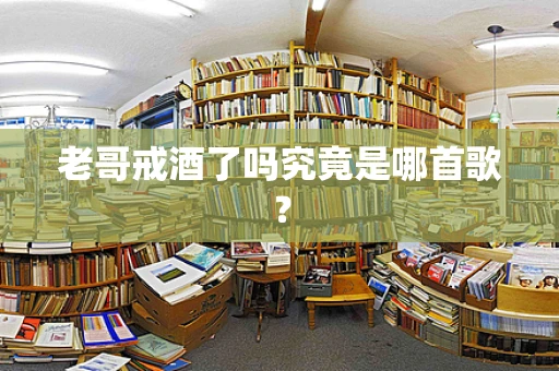老哥戒酒了吗究竟是哪首歌？