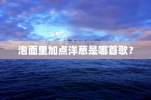泡面里加点洋葱是哪首歌？