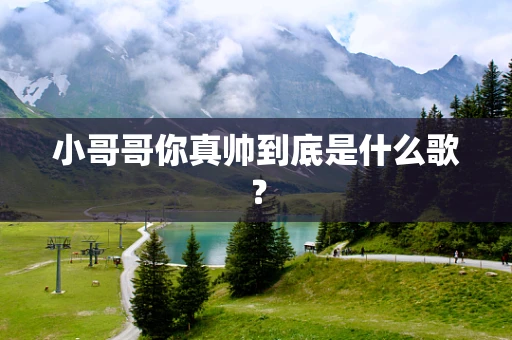 小哥哥你真帅到底是什么歌？