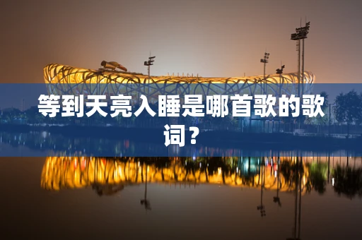 等到天亮入睡是哪首歌的歌词？