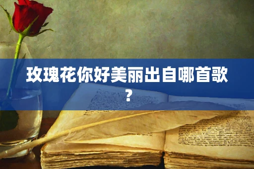 玫瑰花你好美丽出自哪首歌？