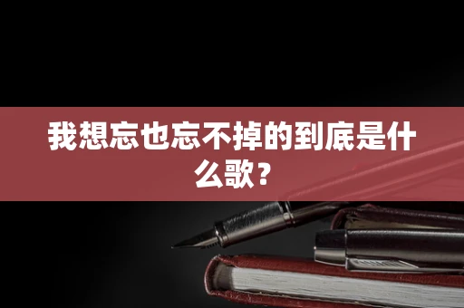 我想忘也忘不掉的到底是什么歌？