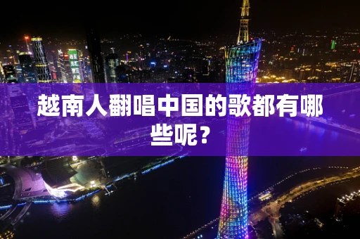 越南人翻唱中国的歌都有哪些呢？