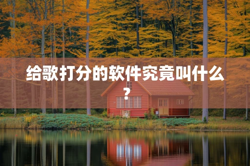 给歌打分的软件究竟叫什么？