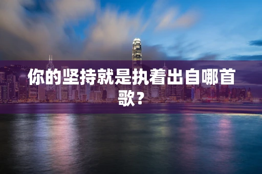 你的坚持就是执着出自哪首歌？