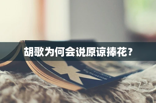 胡歌为何会说原谅捧花？