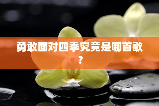 勇敢面对四季究竟是哪首歌？