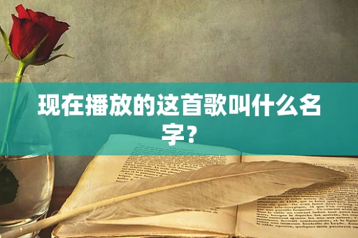 现在播放的这首歌叫什么名字？
