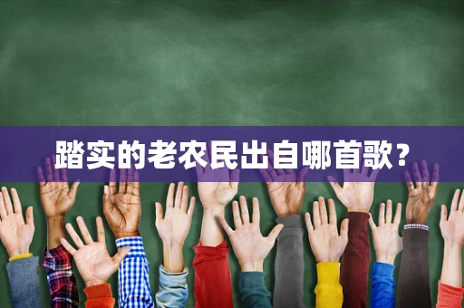 踏实的老农民出自哪首歌？
