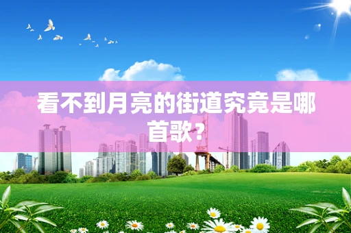 看不到月亮的街道究竟是哪首歌？