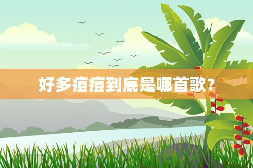 好多痘痘到底是哪首歌？
