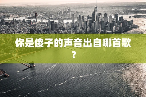 你是傻子的声音出自哪首歌？
