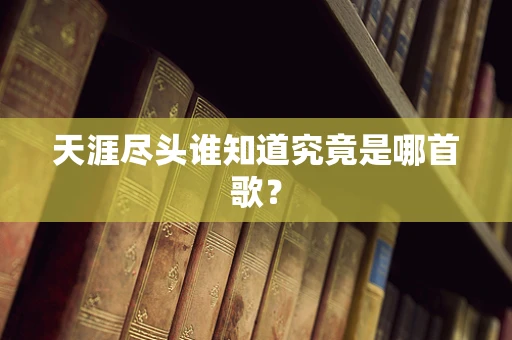 天涯尽头谁知道究竟是哪首歌？