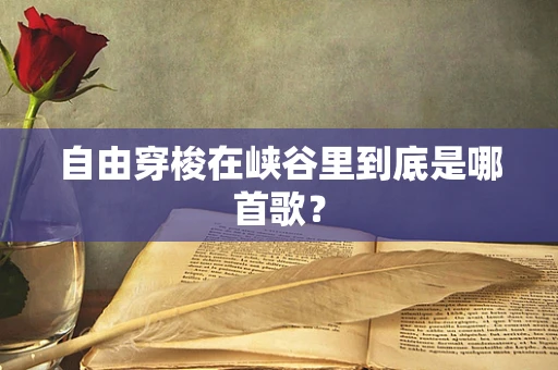 自由穿梭在峡谷里到底是哪首歌？