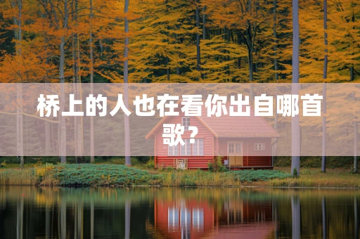 桥上的人也在看你出自哪首歌？