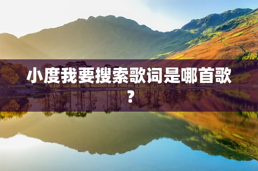 小度我要搜索歌词是哪首歌？