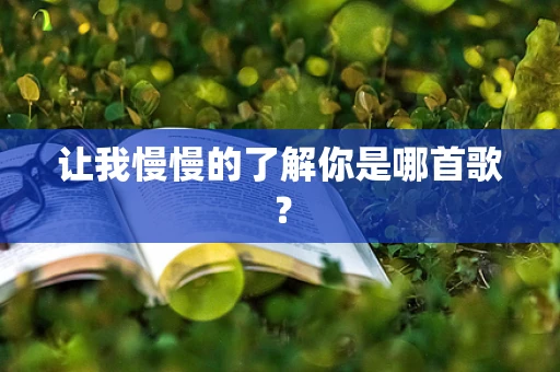 让我慢慢的了解你是哪首歌？
