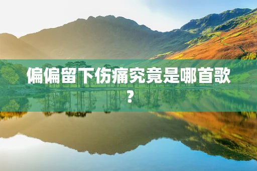 偏偏留下伤痛究竟是哪首歌？