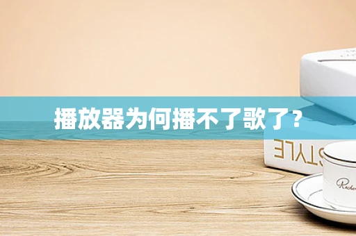 播放器为何播不了歌了？