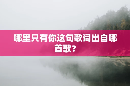 哪里只有你这句歌词出自哪首歌？