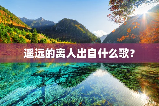 遥远的离人出自什么歌？