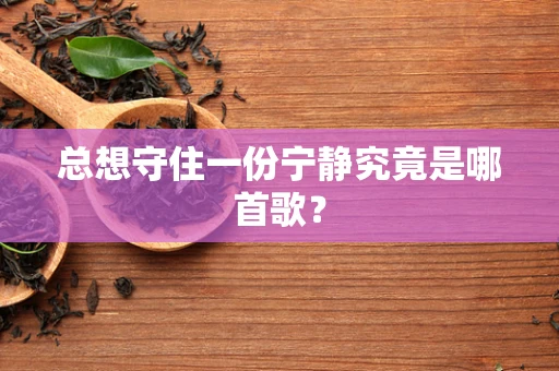 总想守住一份宁静究竟是哪首歌？
