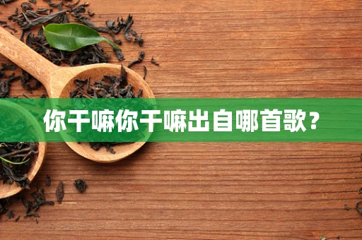 你干嘛你干嘛出自哪首歌？