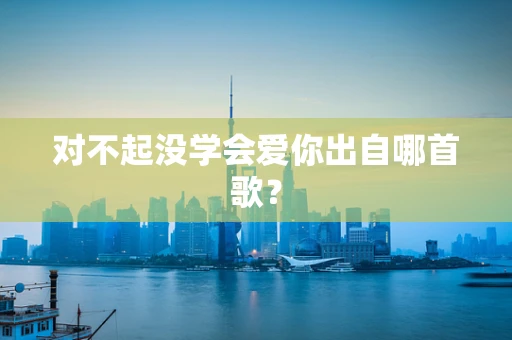 对不起没学会爱你出自哪首歌？