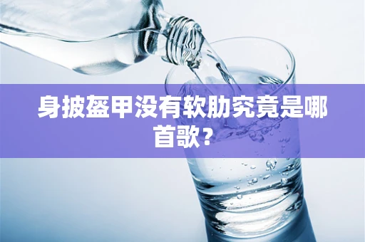 身披盔甲没有软肋究竟是哪首歌？