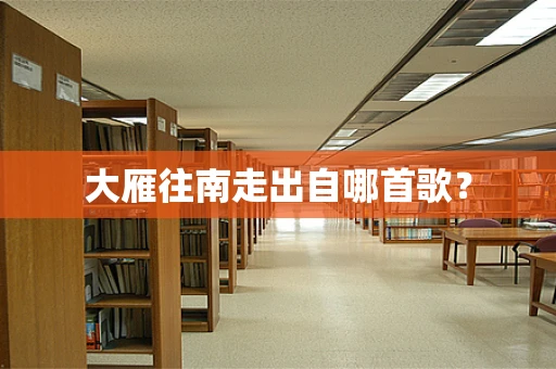 大雁往南走出自哪首歌？