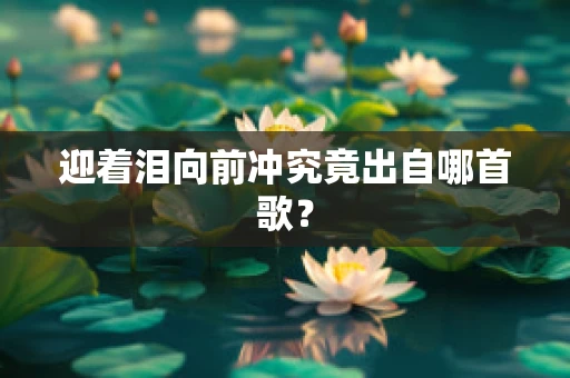迎着泪向前冲究竟出自哪首歌？