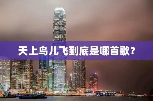 天上鸟儿飞到底是哪首歌？