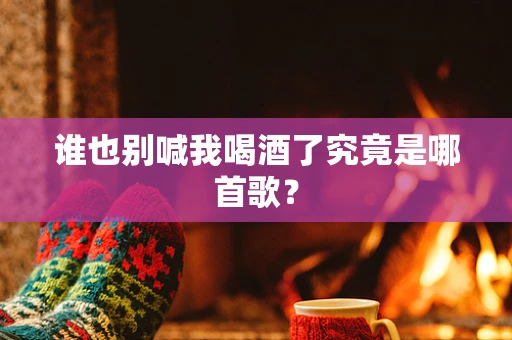 谁也别喊我喝酒了究竟是哪首歌？