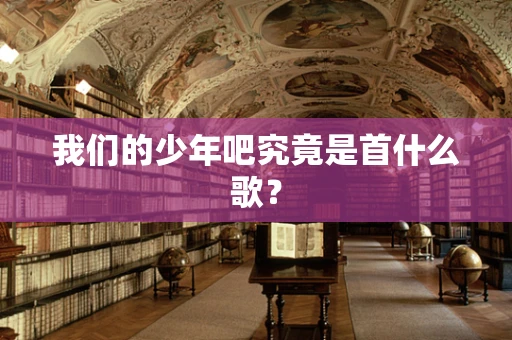 我们的少年吧究竟是首什么歌？